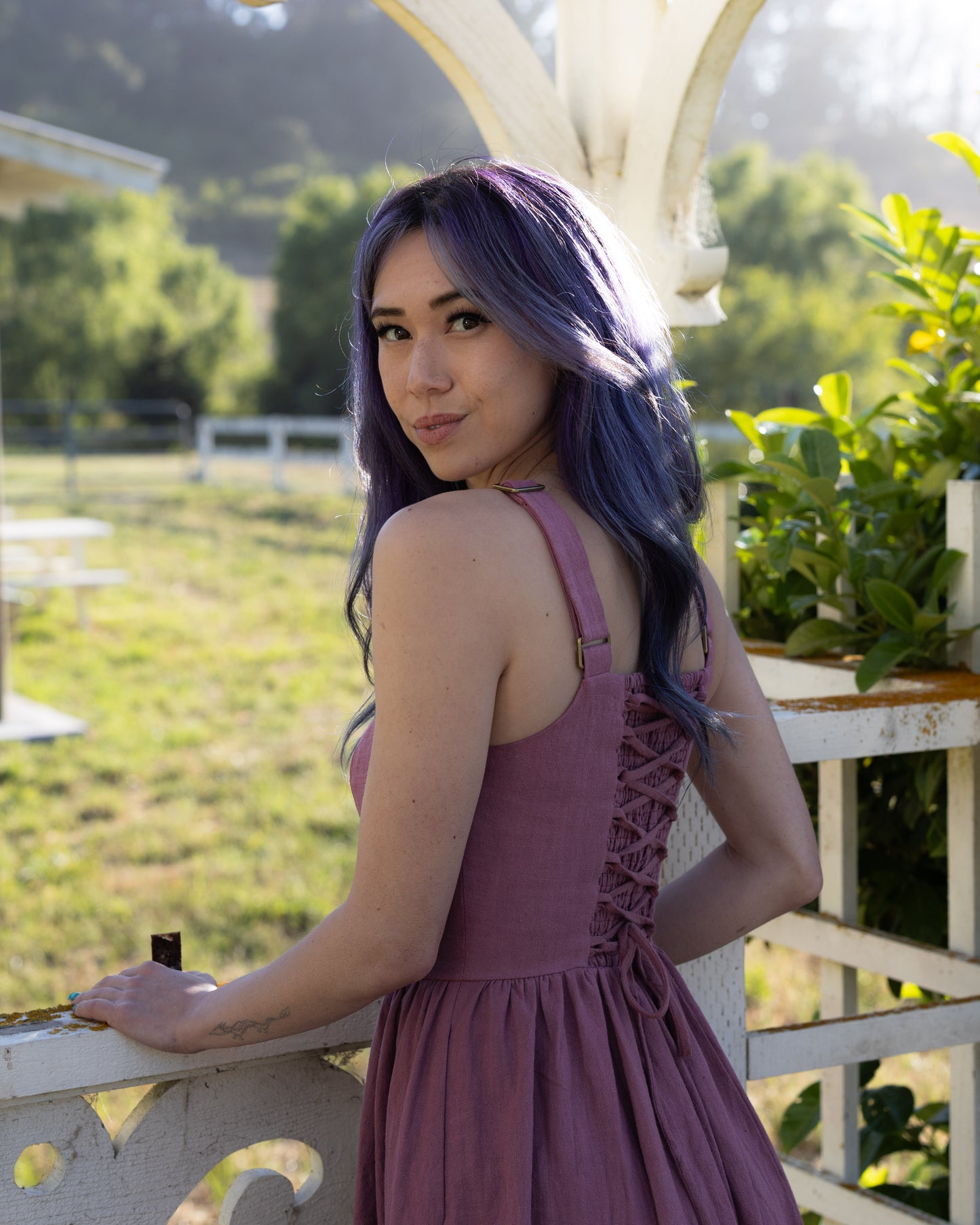 Blackberry Dirndl Dress