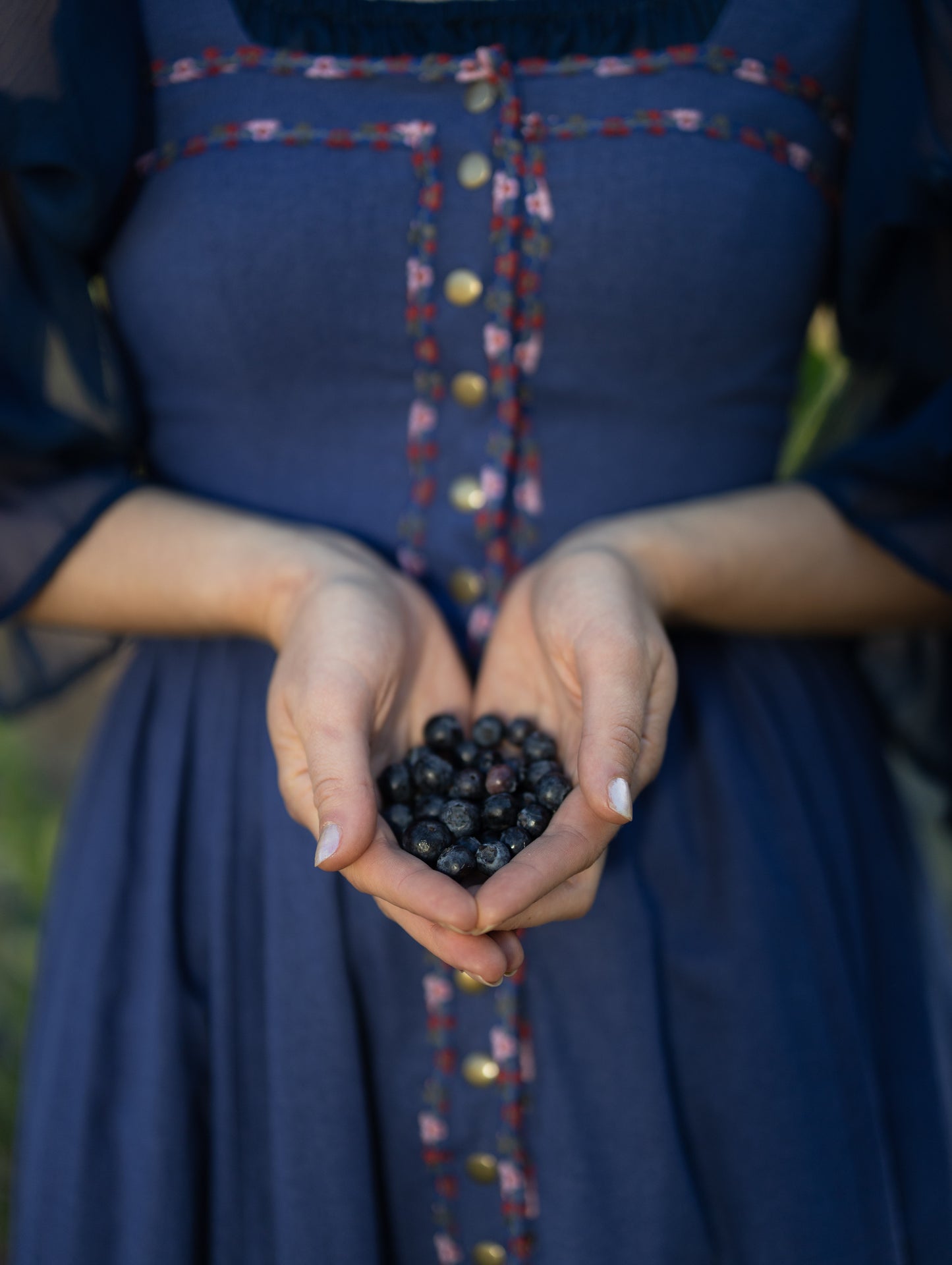 Blueberry Dirndl Dress