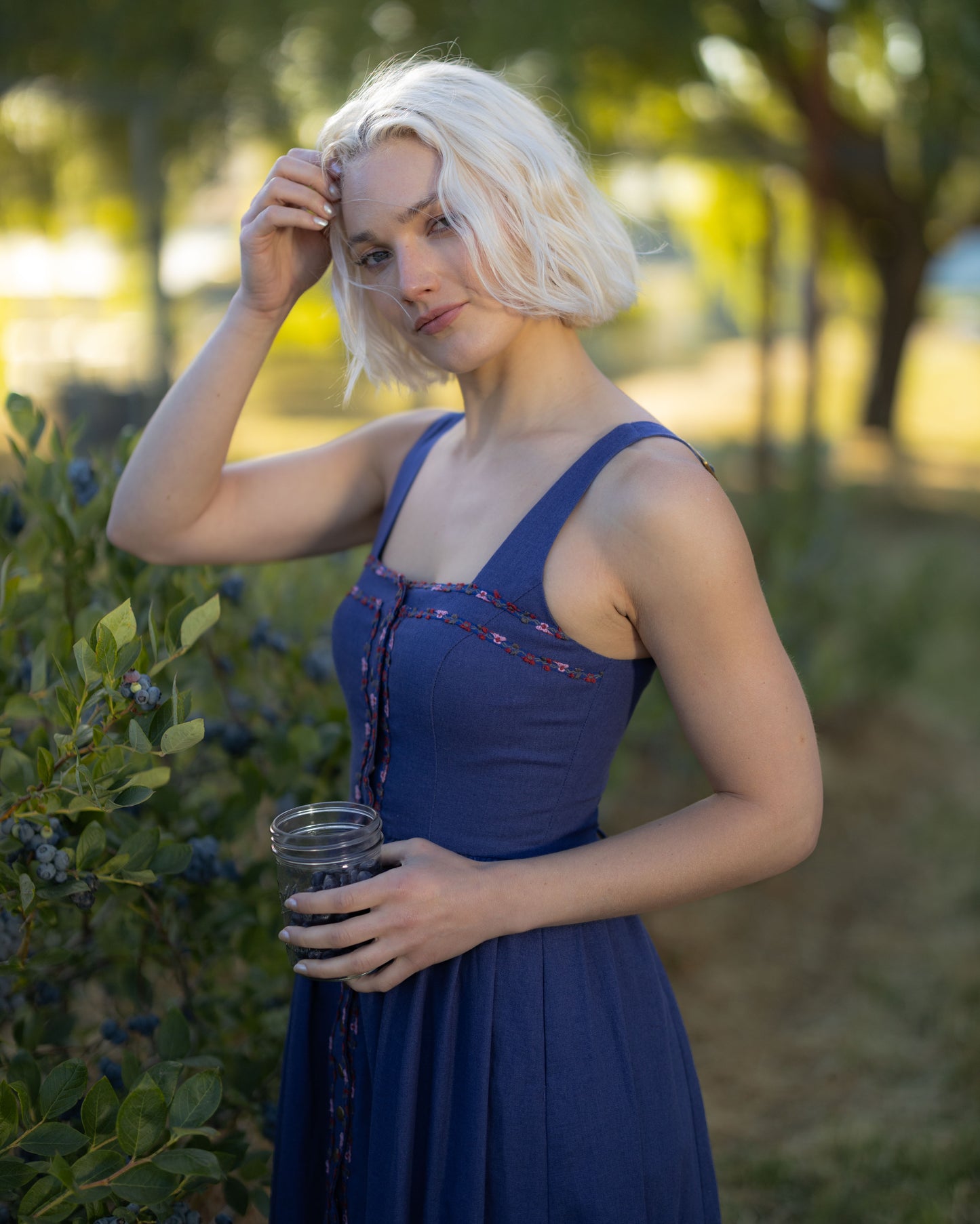 Blueberry Dirndl Dress